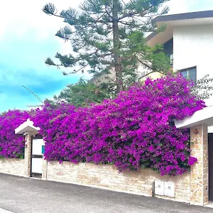 Tulipano Rosso Appartamento Bari
